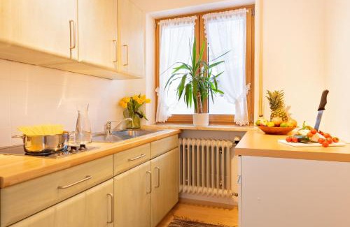 Rubi Apartamento | "Haus Enzian" - Annehmlichkeiten von 4-Sterne Familien-und Wellnesshotel Viktoria können mitgenutzt werden