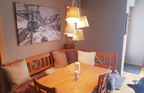 Hochkrimml Apartamento | Haus Filzstein 117 Top