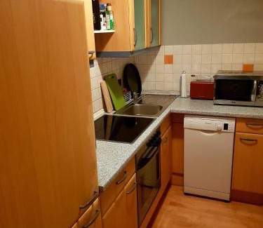 Hochkrimml Apartamento | Haus Filzstein 117 Top