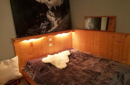 Hochkrimml Apartamento | Haus Filzstein 117 Top