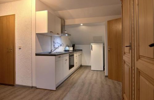 Friedrichsbrunn Apartamento | Haus Freigeist - zum Ortsblick