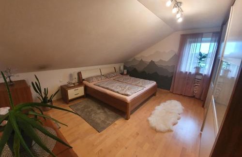 Freyung Apartamento | Haus Heidi