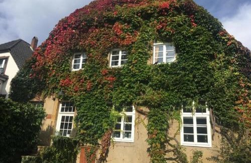 Bad Iburg Apartamento | Haus Kroneck-Salis Ferienwohnung