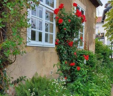 Bad Iburg Apartamento | Haus Kroneck-Salis Ferienwohnung