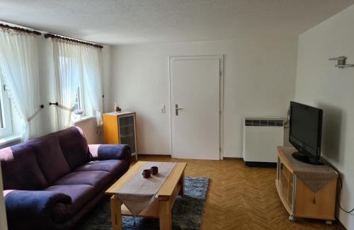 Bad Lauterberg Apartamento | Haus Lauterberg 1 - Das Urlaubsdomizil im Harz
