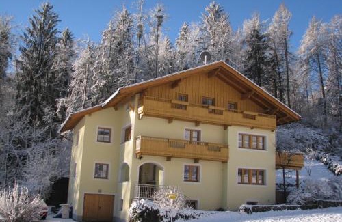 Finkenberg Apartamento | Haus Lundegg