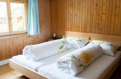 Schoppernau Apartamento | Haus OmaGermana