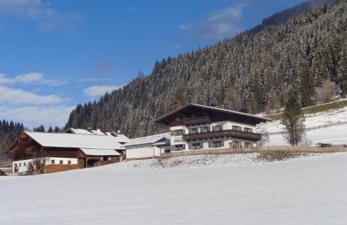 Flachau Apartamento | Haus Ottilie
