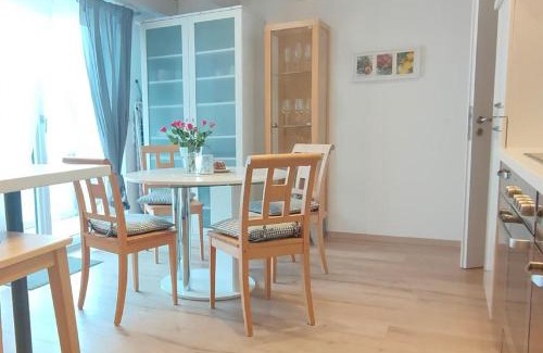 Sankt Englmar Apartamento | Haus Paradies Superior FEWO`S Loft, Terrasse, private Sauna, aktiv Card, Sankt Englmar