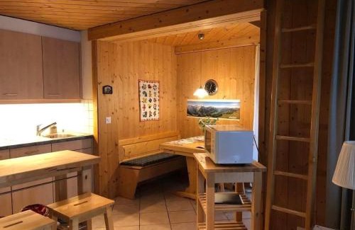 Hasliberg Reuti Apartamento | Haus Pollux