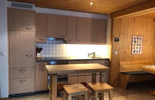 Hasliberg Reuti Apartamento | Haus Pollux
