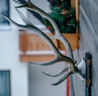 Sankt Anton am Arlberg Apartamento | Haus Richard Falch - Inklusive Premium-Sommerkarte