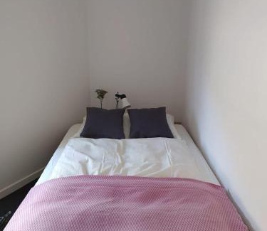 Muenster Apartamento | Haus Rovina