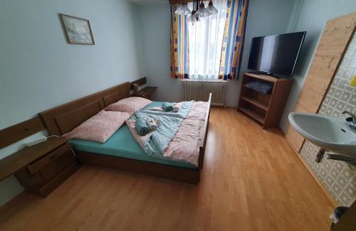 Russbach am Pass Gschuett Apartamento | Haus Schattau