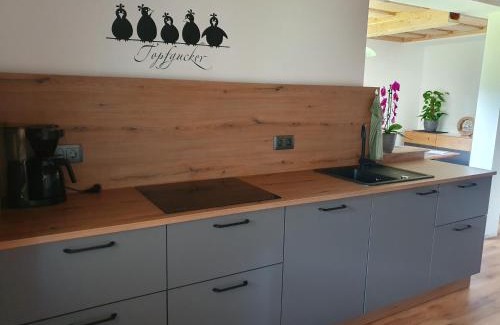 Grundlsee Apartamento | Haus Schraml