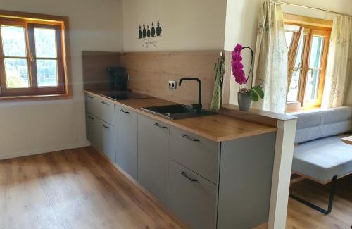 Grundlsee Apartamento | Haus Schraml