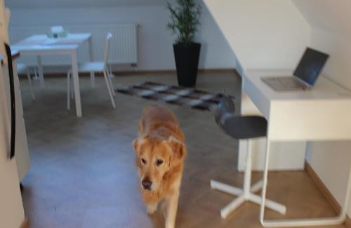Fuerstenfeld Apartamento | Haus Semmi