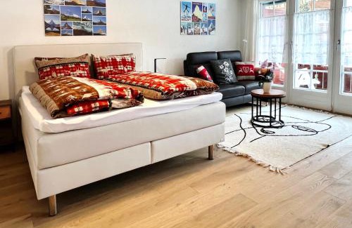 Zermatt Apartamento | Haus Vira
