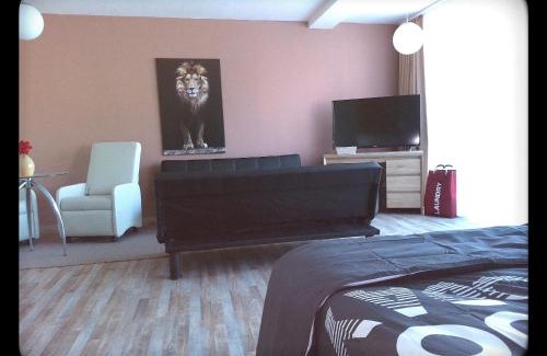 Sigless Casa | Haus VITALIS - Guesthouse Burgenland