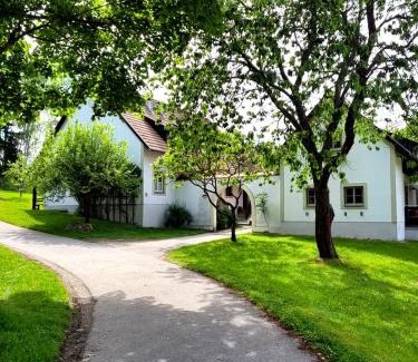 Litschau Apartamento | Haus Waldviertel am Herrensee