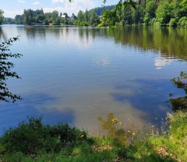 Litschau Apartamento | Haus Waldviertel am Herrensee