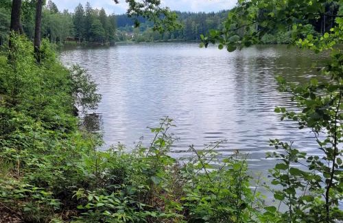 Litschau Apartamento | Haus Waldviertel am Herrensee