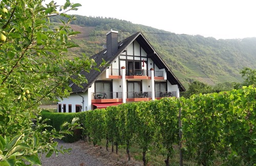 Ernst Apartamento | HAUS WEINGARTEN vacation apartment "Relax" directly on the vineyards