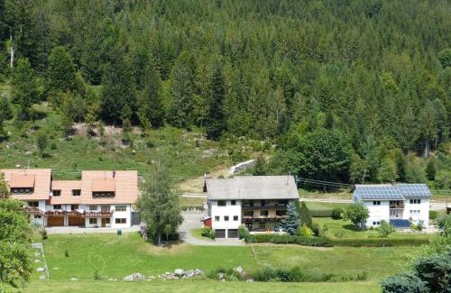 Hundsbach Apartamento | Haus Wiesengrund