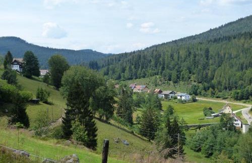 Hundsbach Apartamento | Haus Wiesengrund