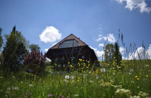 Schonach im Schwarzwald Apartamento | Haus Winterberg