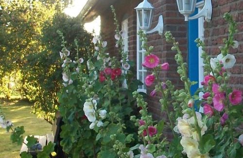 Sylt-Ost Apartamento | Haus Wolfram App Gondeline Morsumer Kliff