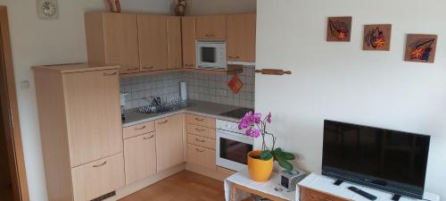 Mariazell Apartamento | Haus Zach