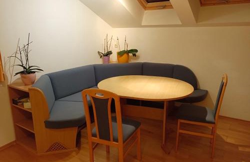 Mariazell Apartamento | Haus Zach