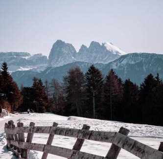 Albions Apartamento | HAUSERHOF Farmhouse Escape & Dolomiten View