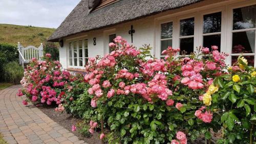 Poppenbull Casa | Haushaelfte A Heini ID 431