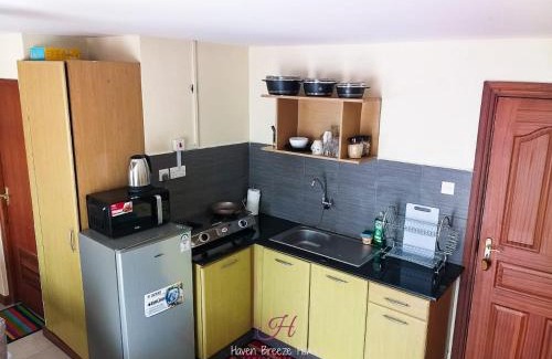 Ngara West Apartamento | Haven Mvuli Suites