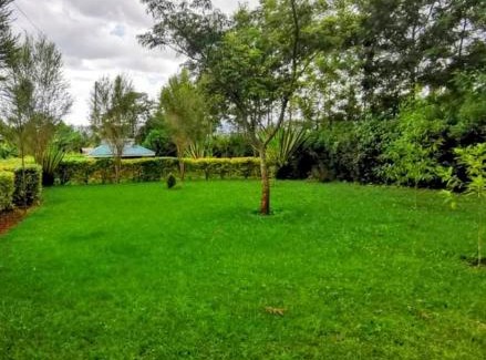 Trans-Nzoia Apartamento | Havlin's Haven