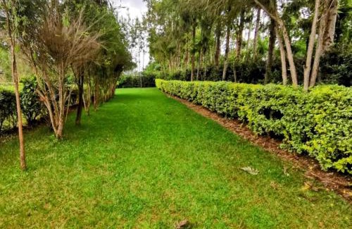 Trans-Nzoia Apartamento | Havlin's Haven