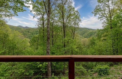 Topton Cabina | Hawk's Landing-Private Luxury Log Cabin Rental, Mountain Views, High Speed Internet, Hot Tub - 15 minutes from the NOC!
