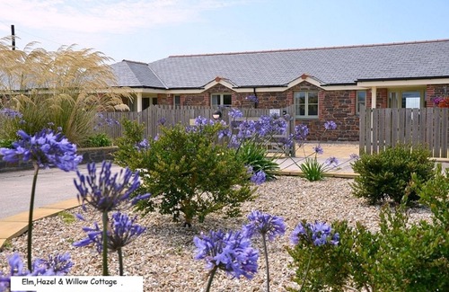 Grampound Cabaña | Hazel Cottage Propósito Construido Silla de ruedas Friendly Cottage
