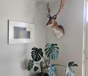 Odense Apartamento | HCA House