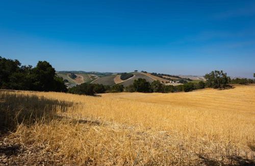 Paso Robles Casa | Heartview Cottage