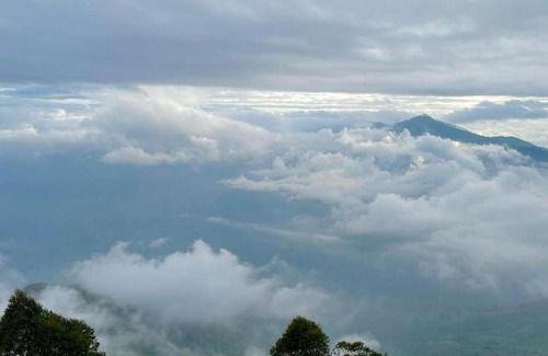 Kaski Casa | Heaven and Hills Forest Resort