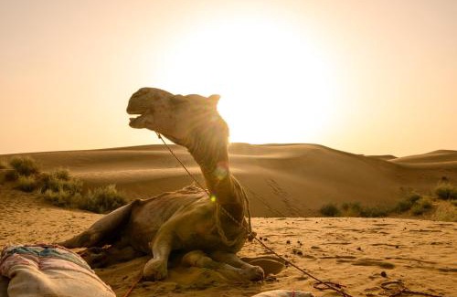 Jaisalmer Otro | Heaven In Desert