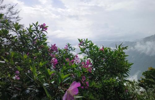 Devikolam Hotel | Heaven of Breeze Idukki