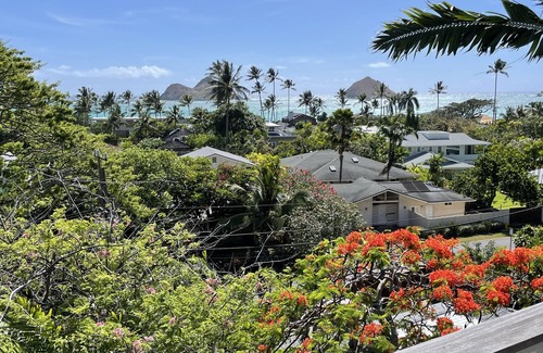 Lanikai Apartamento | Heavenly Hale Best Licensed Vacation rental - walk to beach!