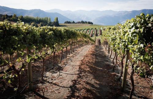 Chelan Apartamento | Heavenly View