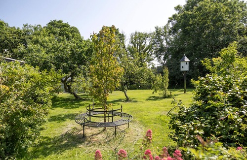 Tan-y-groes Casa | Hedgerow at Gorslwyd - Sound Retreat
