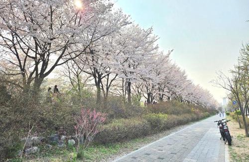 Seongnae-dong Apartamento | Hej hi home#Lotte World Jamsil#Lotte Tower,#KSPO Dome#Sports Complex#JYP#COEX#Asan Medical Center