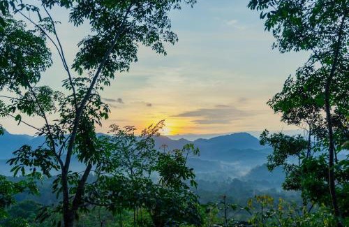Mawanella Cabina | Heliconia Ledge